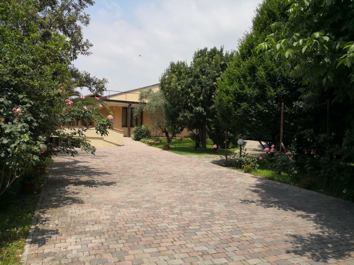 B&B D'Avino Pagani Exterior photo